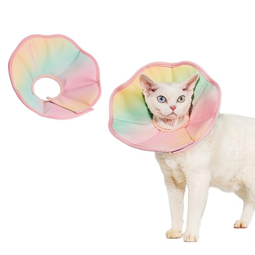 TOUCHDOG  L GUxXJ[ \tg y _炩 ^p Lp ʋC XgXt[ fUC hPUR[eBO  K tBbg pPA rߖh~  (Of[VsN, XS)