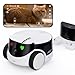 WiFi/WLAN günstig Kaufen-Enabot EBO ROLA PetPal 2.5K Katzenkamera mit Lagerung Modul,WLAN Mobiler Emo Robot mit Nachtsicht,Kabellose Haustierkamera mit EBO ROLA-PET App,Selbstaufladung,2 Wege Audio