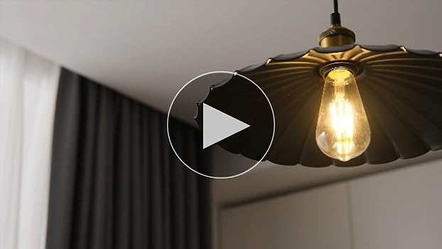 Oyisen Hanging Plug in Pendant Light 13.8 Inch Round Metal