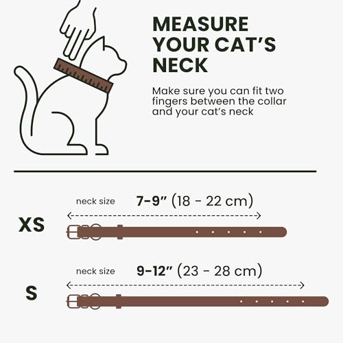 Collar para gatos de piel BRONZEDOG de 23-28 cm ideal para paseos diarios 8
