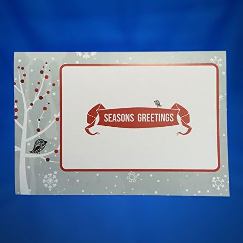 Recordable Musical Christmas Card - Ho Ho Holiday Greetings