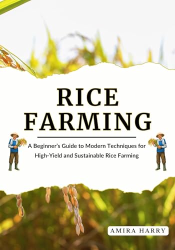 RICE FARMING: A Beginner’s Guide to Modern Techniques for High-Yield and Sustainable Rice Farming