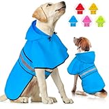 Weesiber