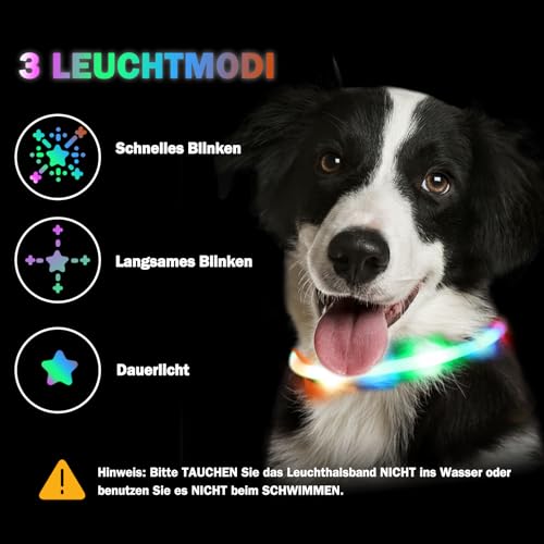 Nepfaivy Leuchthalsband Hund USB Aufladbar - Wasserdichtes Hundehalsband Leuchtend mit Verstellbarer Länge, LED Halsband für Hunde mit 3 Beleuchtungsmodi für Sicherheit, Mehrfarbig