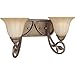 Progress Lighting P2967-91C Le Jardin Bathroom Lighting
