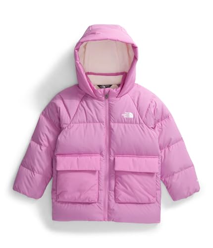Image of THE NORTH FACE unisex-baby North Down Fleece-lined Parka