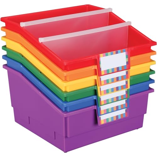 Really Good Stuff Picture Book Bins with Dividers, 6 Bins