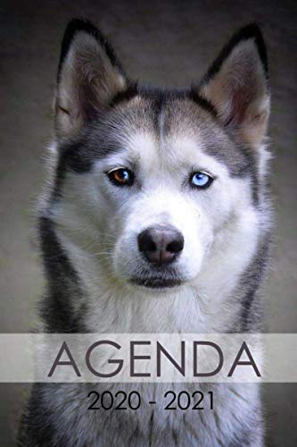 Télécharger Agenda 2020 - 2021: Agenda scolaire husky chien cute kawaii mignon trés cool pour étudiants Collè livre En ligne