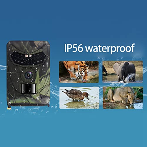 1080P 16MP Câmera de Trilha de CaçA de Animais Selvagens Câmeras de Trilha de CaçA para Animais Selv