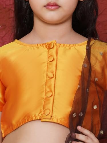 Image of AJ DEZINES Kids Ethnic Wear Silk Blend Organza Floral Printed Lehenga Choli for Girls With Dupatta