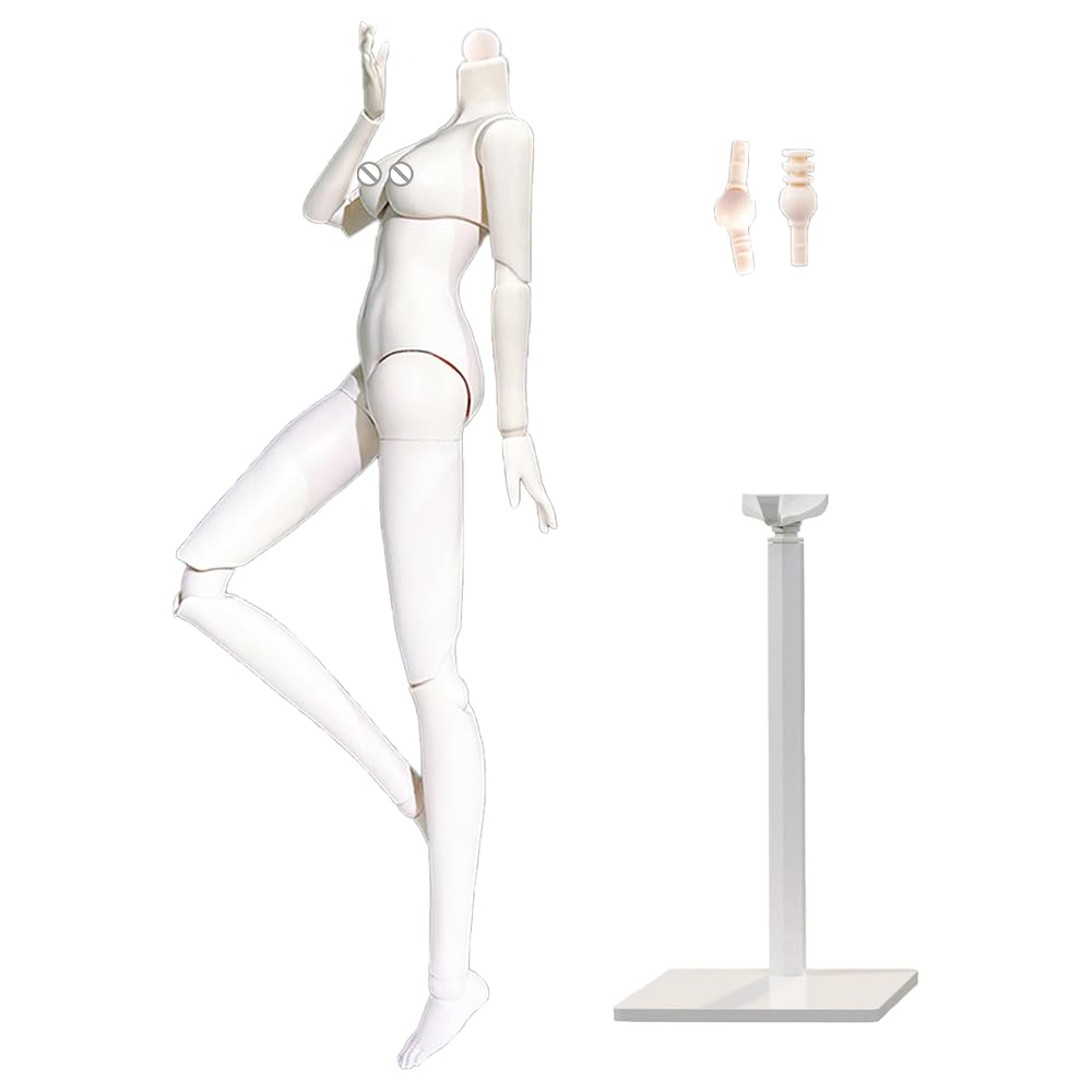 niannyyhouse BJD Doll Customized Body, Ball Jointed Dolls, 1/3 1/4 1/6 Scale Movable Joints Collectible, Female Male, No Head (White, 1/6 BJD Female)