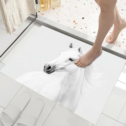 Tapis entrée intérieur 50x80cm lavable et tapis de sol mince