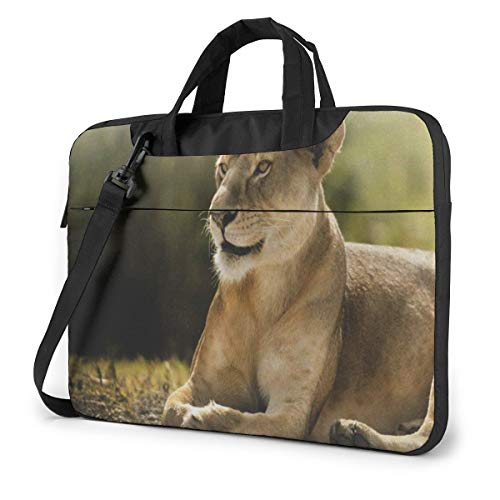 CI  I uE 03 PCP[X m[gp\RobO bvgbv یP[X PCobO Ռz y rWlXobO nhobO u[tP[X 񂰃obO t ΂ߊ|obO 13/14/15.6C`