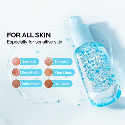 Zealsea Hyaluronic Acid Serum For Face With Ceramide - Hydrating Serum To Soothe Dry Skin And Sensitive Skin, Moisturizing Face Serum For Women, Daily Facial Anti Aging Serum For Fine Lines, 1 Fl Oz #TOP2