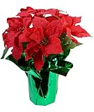 TenWaterloo 15' Potted Red Poinsettia Plant with 7 Flowers, Artificial Floral