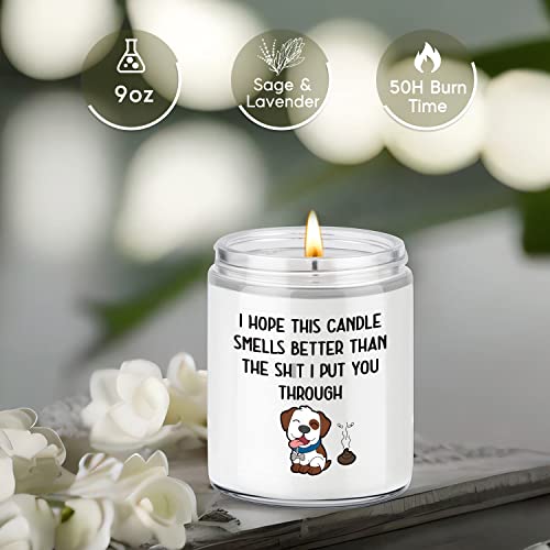 Leado Scented Candles - I’m Sorry Gifts For Her, Him - I Love You Gifts For Mom, Birthday Gifts For Women, Wife Birthday Gift Ideas - Thank You Gifts, Apology Gifts, Funny Gifts For Boyfriend, Husband #TOP1