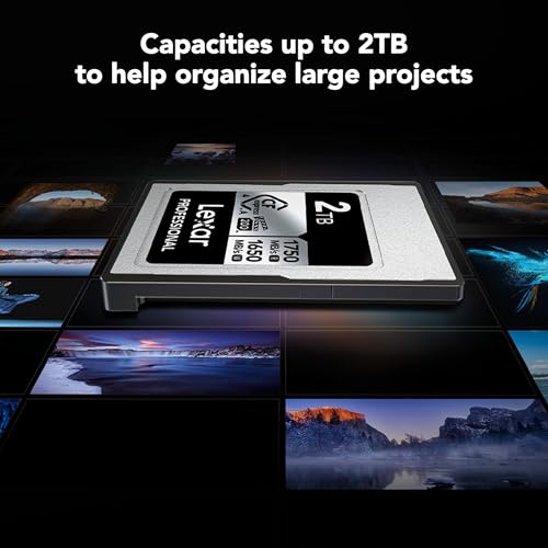 Image of Lexar 2TB Professional CFexpress Type A Silver 4.0 Memory Card, for Photographers, Videographers, Up to max 1750 /1650 MB /s, 8K Video (LCAEXS4002T-RNENU)