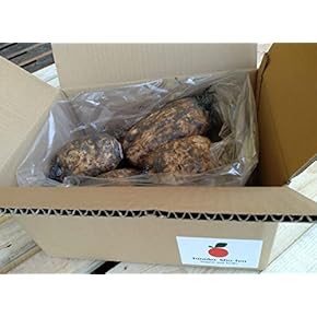 れんこん - Amazon.co.jp