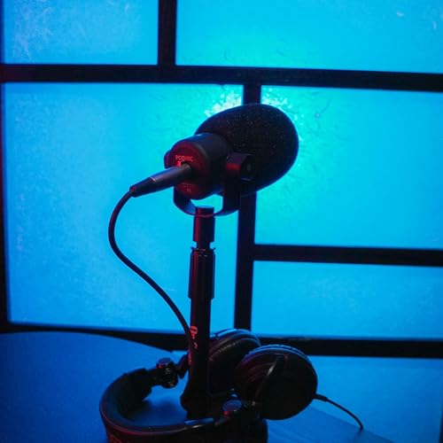 Lied on by family without any cause or reason. I won't forget.