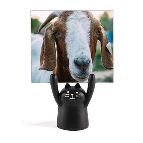 Support mémo chat noir en résine M Mouton pour photographie et décoration de bureau