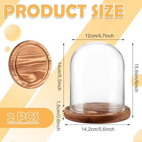 AKOLAFE 2 Stück Glasglocke mit Holzboden 15cm Hoch Glaskuppel Deko 12cm Durchmesser Glashaube Glasglocke Transparent Glasglocke Deko für Puppen, Kerzen, Sammlerstücke