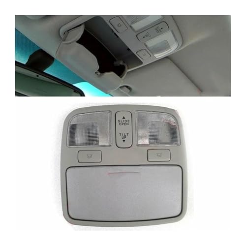 Lámpara de techo interior Hyundai Sonata NF consola superior de repuesto 2006 a 2010 3