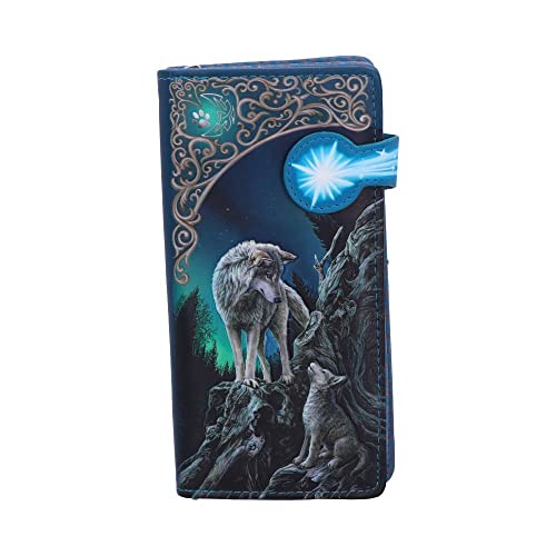 Nemesis Now Guidance femme portefeuille polyuréthane grand format rangement monnaie billets cartes