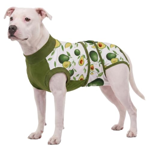 LovinPet Dog Recovery Suit, Soft Post-Surgery Bodysuit with Cotton Belly Panel, Four-Season Wear for Large Breeds, Vegetable Print, Dark Green, XXL