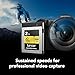 Lexar 2TB Professional CFexpress Type B Memory Card GOLD Series, Up To 1900MB/s Read, Raw 8K Video Recording, Supports PCIe 3.0 and NVMe (LCXEXPR002T-RNENG)