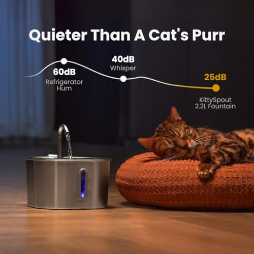 Image of KittySpout Stainless Steel Cat Water Fountain Automatic Drinking Fountain, Quiet Circulating Water Bowl, Dishwasher Safe, Indoor Pet Fountain for Hydrated Healthy Cats (Stainless Steel, 2.2L Corded)