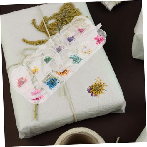 Flores naturales secas para manualidades DIY, set 3 cajas miniatura 4