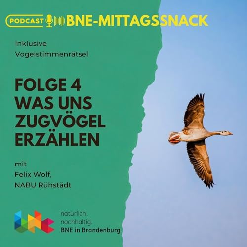 Was uns Zugv&ouml;gel erz&auml;hlen - mit Felix Wolf NABU R&uuml;hst&auml;dt