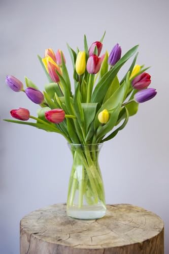 Image of KaBloom-20 Assorted Tulip Bouquet,Flowers for Valentine, Mother's Day