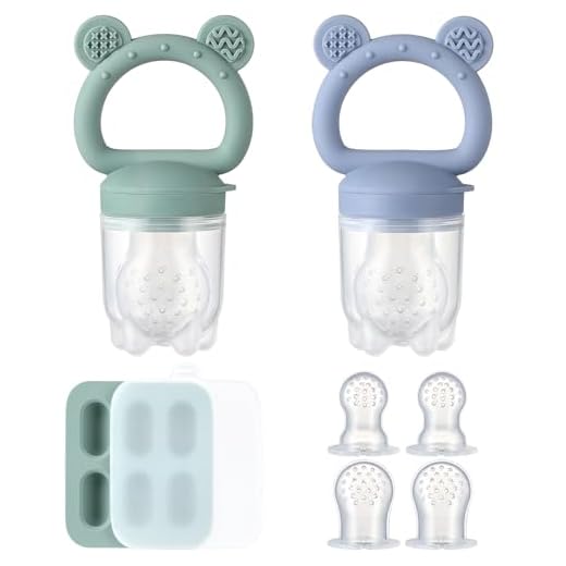 2 Pack Silicone Baby Fruit Feeder with Mini Freezer Tray, Breastmilk Popsicle Molds for Baby Teething Relief, Fresh Food Feeder for Safe Infant Self Feeding, Extra Food Pouches