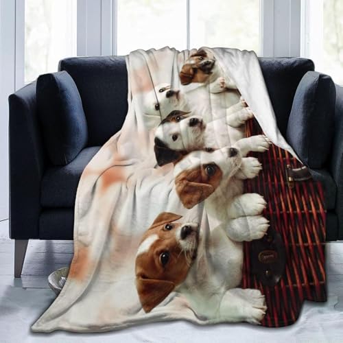 �W���b�N���b�Z���e���A �u�����P�b�g blanket �t�����l�� �ӂ��肨�����ѕz�I�[���V�[�Y�� �􂦂� �Ђ��|�� �u�����P�b�g �h�� ���킢�� �Ђ��|�� �u�����P�b�g 80"x60"