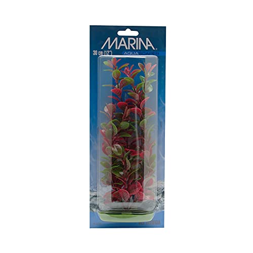Marina Aquascaper Aquarium Plant, Water Plant, Plastic, Red Ludwigia, 30 cm, Green / Red - Image 2