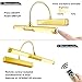 LUXSWAY Wireless Picture Light with Remote Control,Battery Operated Painting Light with Dimmable & Timer,180° Adjustable Head for Wall Art,Canvas Paintings,Portrait Displays-Gold