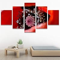 SIGNWIN 5 Panel Canvas Wall Art Red Petal for Home Decorations Ready to Hang - 60