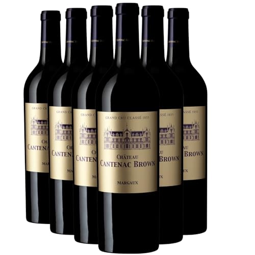 Château Cantenac-Brown Margaux 2020: Tinto Premium de Burdeos Château Cantenac-Brown Margaux 2020: Tinto Premium de Burdeos