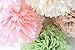Fonder Mols Fluffy Tissue Pom Poms Paper Flowers Kit Party Hanging Flowers Ball for Wedding Birthday Bridal Baby Showers Nursery Decor(Set of 12,Blush Pink Green Ivory)