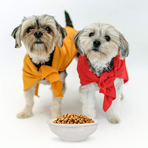 Pet 2 peças Tigela comedouro para animais de estimação Tigela de água para cães e gatos Tigela de al