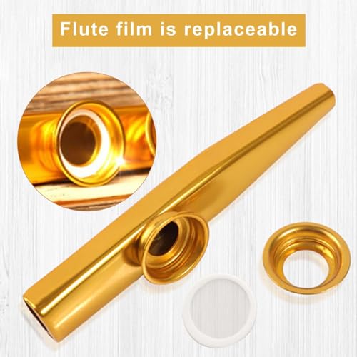 3 StüCk Kazoo,Kazoo Instrument Set,Metall Kazoos Mit 10 Austauschbaren Membran,FüR Kinder, Erwachsene Und MusikanfäNger,Geeignet FüR Vorschulspielzeug MusikgeräTe,Kann Verschenkt Oder Als Geschenk.