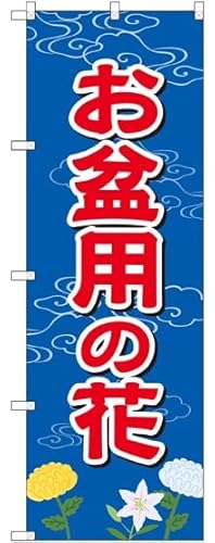 ̂ڂ ~p̉ GNB-2544 i󒍐YELZsj [sAi]