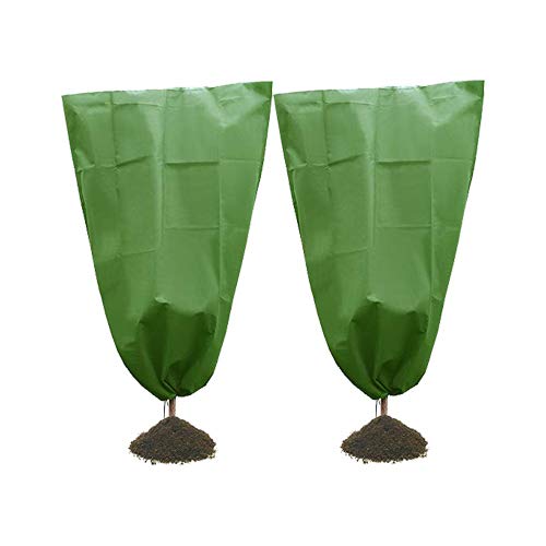 GREENSTORE Lot de 2 housses de protection pour plantes non tissées résistantes au froid avec cordon de serrage pour arbre/arbuste/pot Vert 1 x 1,6 m Cover
