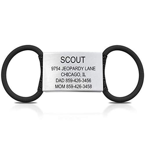 how soon can cats get pregnant after giving birth