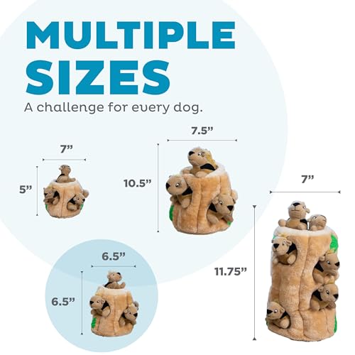 Image of Outward Hound Hide A Squirrel Plush Dog Toy Puzzle, Medium (Pack of 12)