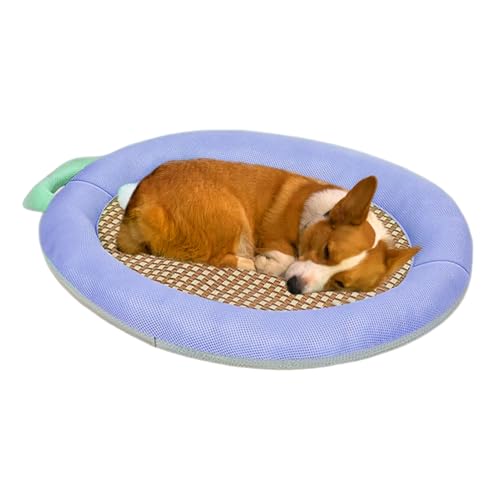 Generico Caseta refrescante para perros, portátil y resistente al frío, para cachorros, con base de gel, para cachorros, gatos, tamaño mediano y grande, casa, apartamento, exterior, balcón