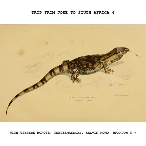 Trip from Jose to South Africa 4 with Tsebebe Moroke, TeepeeMassoxs, Kelvin Momo, Brandon y m&aacute;s