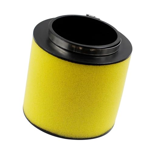 Filtre à air moto pour Rubicon 500 et TRX650 quad