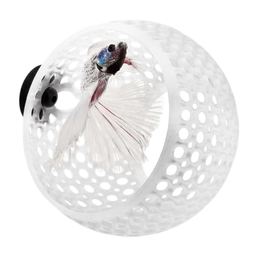 Image of The Original Cave Lounge - Betta Fish Tank Accessories, Swim-Through Hideout Ornament for Small Fish and Shrimp, Aquarium Decoration with Plant Holder - Authentic Design (Clear White, Large)